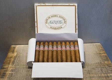 RAFAEL GONZALEZ 88 CIGAR (EX. ASIA PACIFICO 2016)