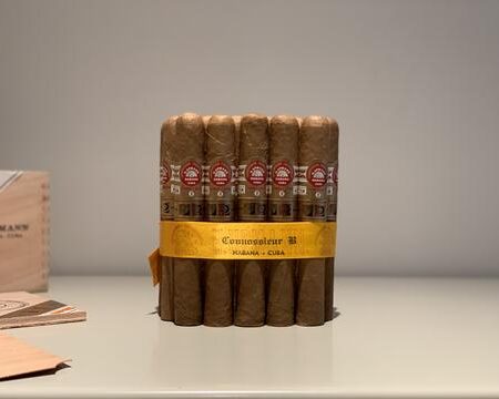 H. UPMANN CONNOISSEUR B LCDH CIGAR