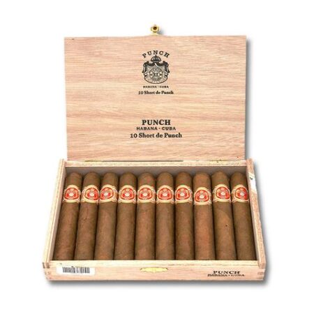 PUNCH SHORT DE PUNCH CIGAR