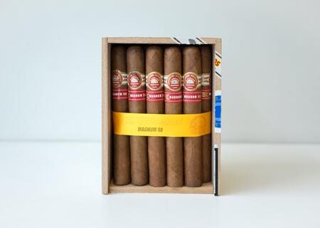 VINTAGE H. UPMANN MAGNUM 50 CIGAR (PBS NOV08)